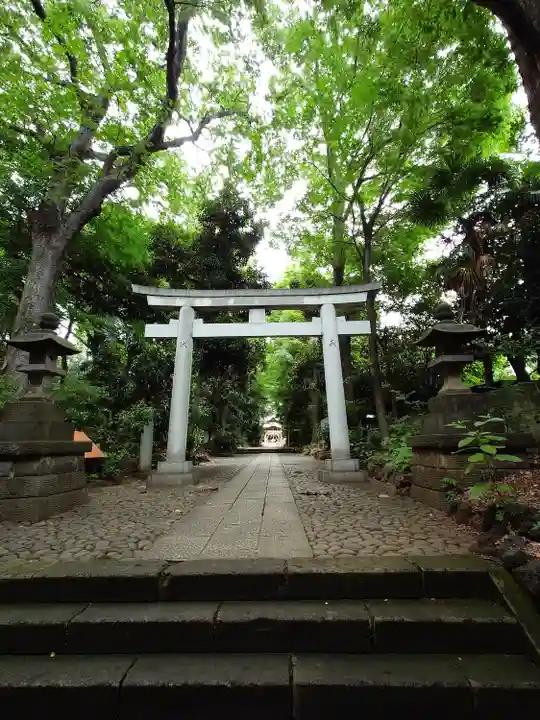 代々木八幡宮の鳥居