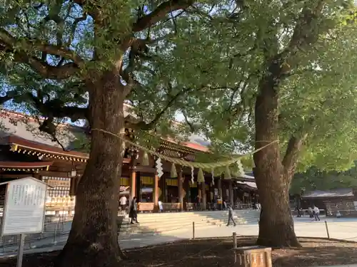 明治神宮の自然