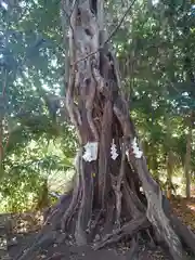 有鹿神社(神奈川県)