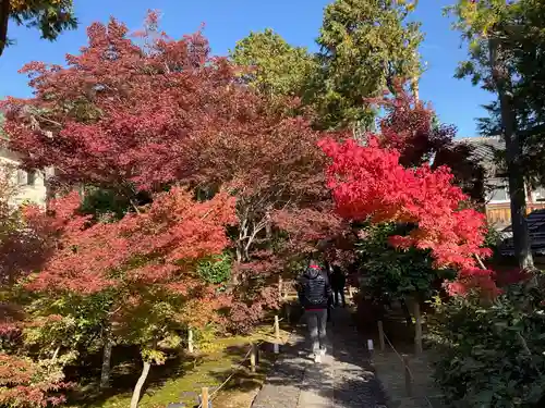 鹿王院(京都府)