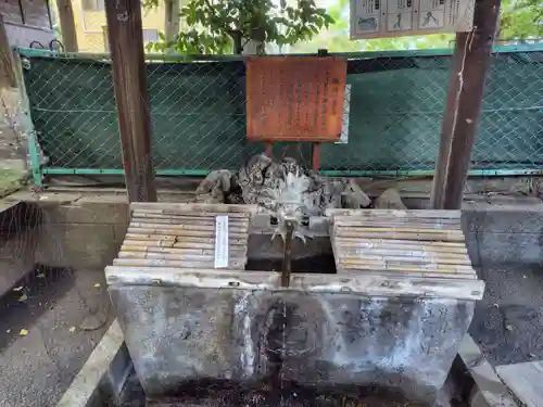 諏訪神社(東京都)