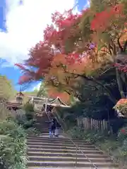 日向大神宮(京都府)