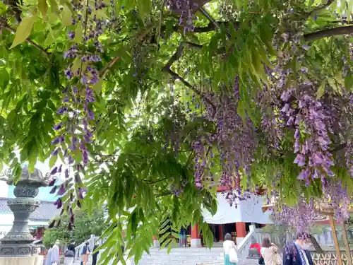 日枝神社の庭園