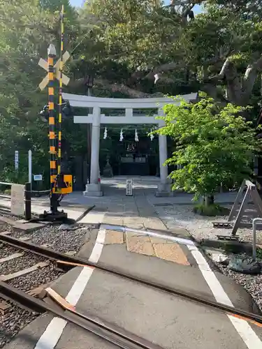 御霊神社の御朱印