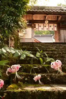 乘臺寺(高知県)