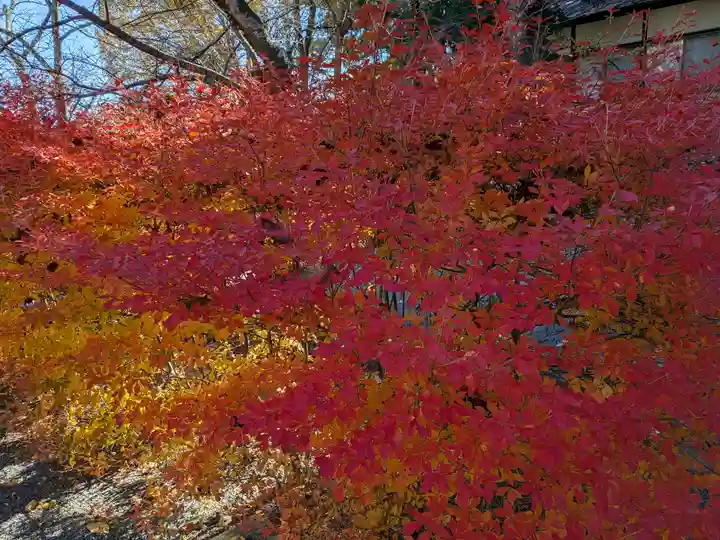 冨士御室浅間神社(山梨県)