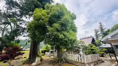 大坪八幡宮(京都府)