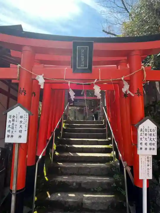 熊本城稲荷神社の{uncategorized: "未分類", other: "その他", undefined: "問題あり", building: "その他建物", grave: "お墓", sacred_gate: "鳥居", guardian: "狛犬", statue: "像", buddha: "仏像", history: "歴史", nature: "自然", garden: "庭園", animal: "動物", pagoda: "塔", temizu: "手水舎", mountain_gate: "山門・神門", sanctuary: "本殿・本堂", subordinate: "末社・摂社", art: "芸術", scenery: "景色", jizo: "地蔵", ema: "絵馬", goshuin: "御朱印", omikuji: "おみくじ", items: "授与品その他", amulet: "お守り", goshuincho: "御朱印帳", eats: "食事", festival: "お祭り", votive_dance: "神楽", shichigosan: "七五三参", wedding: "結婚式", experience: "体験その他", initially: "初詣", around: "周辺", anti_infection: "感染症対策"}