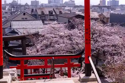 建勲神社(京都府)
