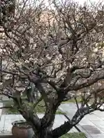 梅香寺(三重県)