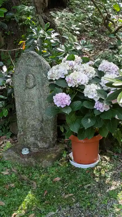 岡寺(龍蓋寺)(奈良県)