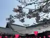 戒光寺(戒光律寺)(京都府)