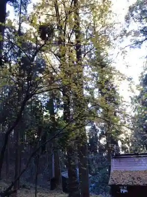 上色見熊野座神社(熊本県)