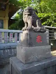 白髭神社の狛犬