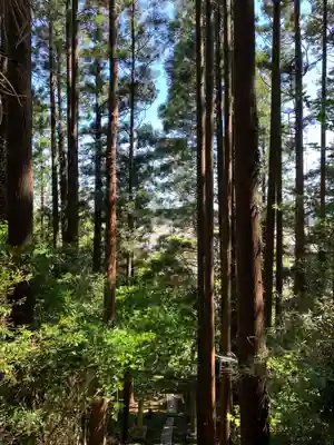 琴平神社の周辺