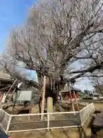 千葉寺(千葉県)