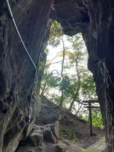 金比羅神社の自然