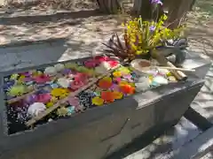 札幌護國神社の手水