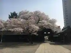 宇都宮二荒山神社の建物その他