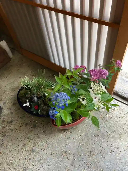 大福寺(京都府)