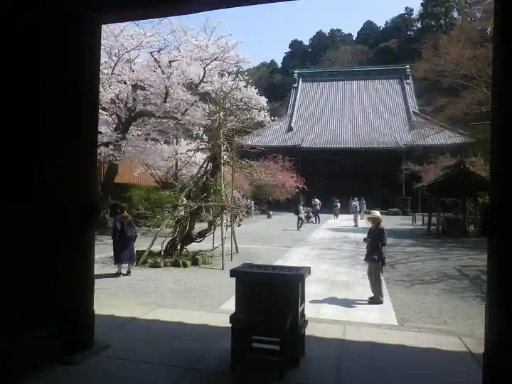 妙本寺のその他建物
