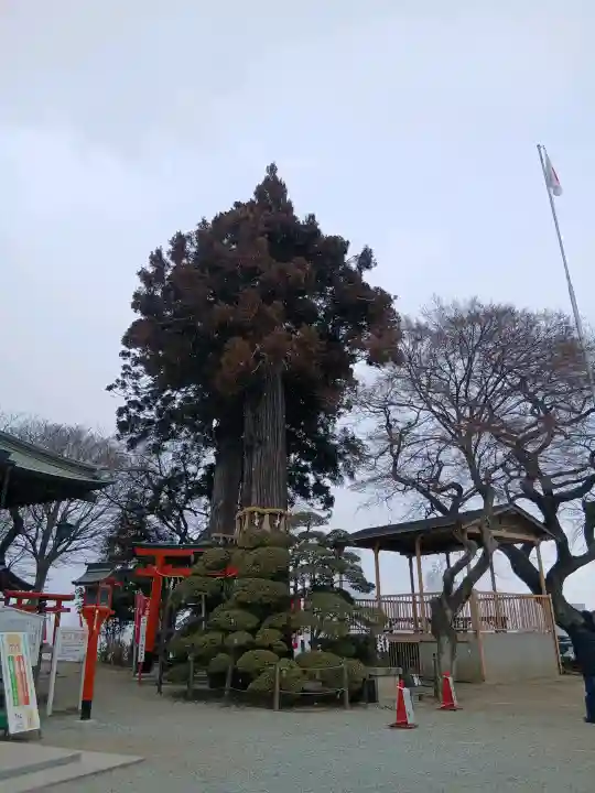 愛宕神社(宮城県)