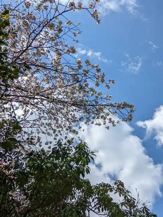 青蓮院門跡(京都府)