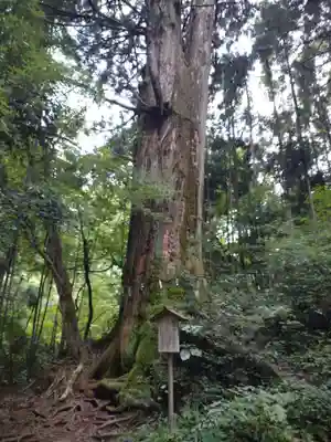 花園神社(茨城県)