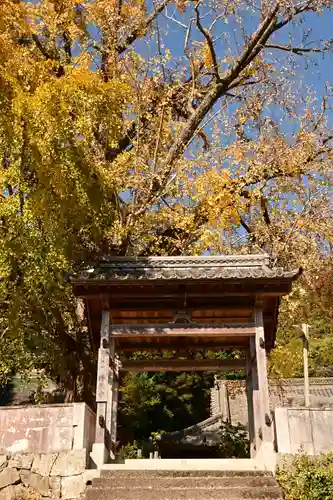 禅蔵寺(愛媛県)