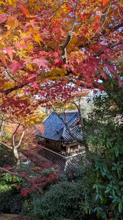 観音寺(山崎聖天)(京都府)