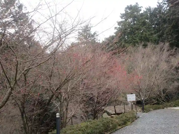 石山寺(滋賀県)