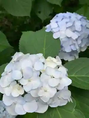 持寳院(多氣山不動尊)(栃木県)
