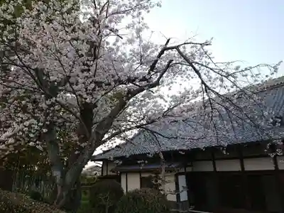 西福寺のその他建物