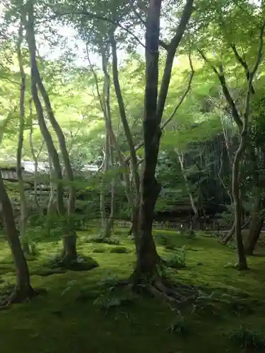 祇王寺の庭園