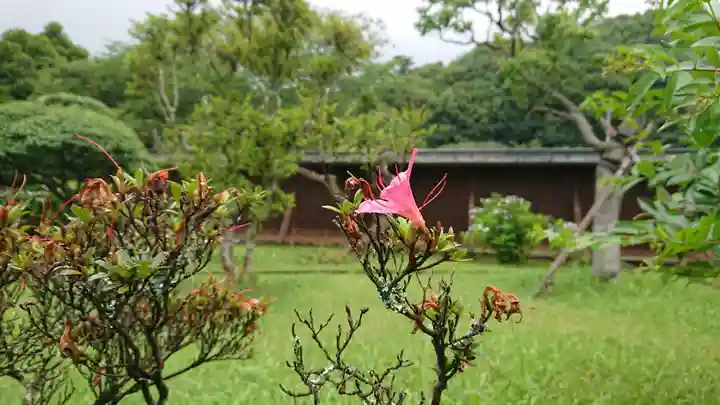 妙法華寺(静岡県)