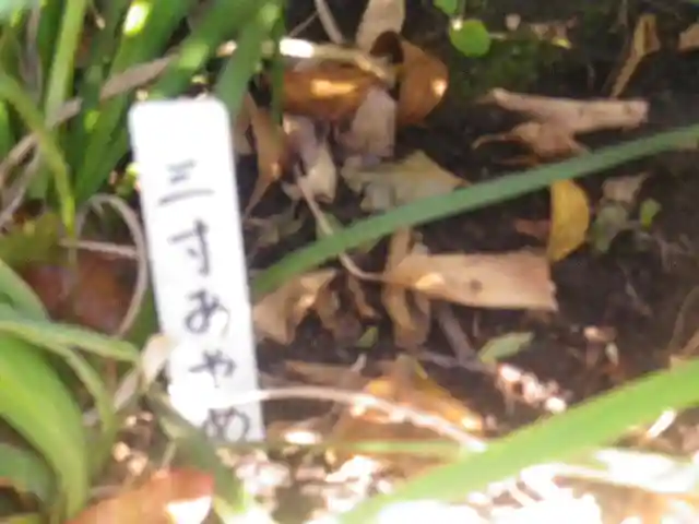 大巧寺(神奈川県)