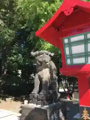 発寒神社の狛犬