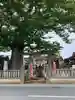 三ツ木神社(埼玉県)