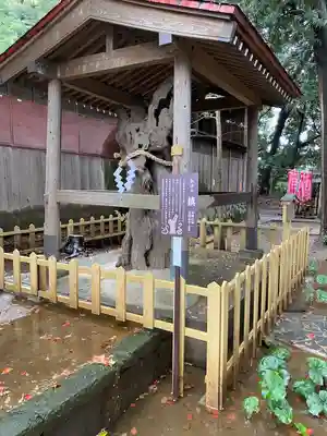 鶴嶺八幡宮(神奈川県)