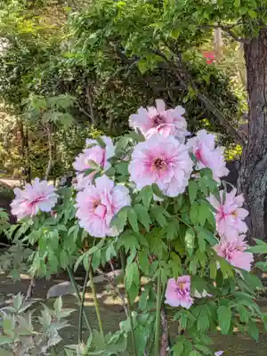 禅定院(東京都)