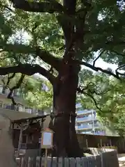 津門神社(兵庫県)