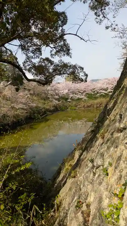 柳澤神社(奈良県)