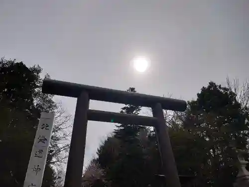 北海道神宮の鳥居