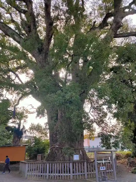 伊勢神明社(静岡県)