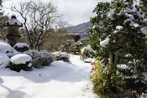 実光院(京都府)