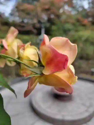 円通院(宮城県)