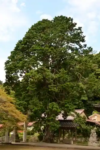 城上神社(島根県)