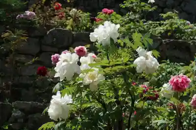 長谷寺(奈良県)