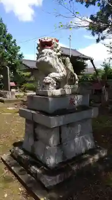 阿部神社の狛犬
