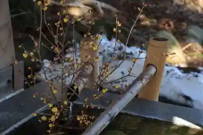 高司神社〜むすびの神の鎮まる社〜の手水舎
